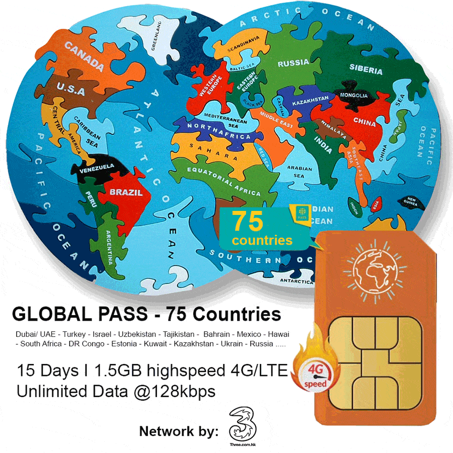 global international travel pass