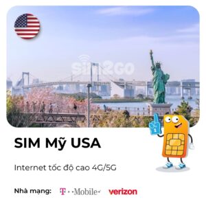 Sim Mỹ USA