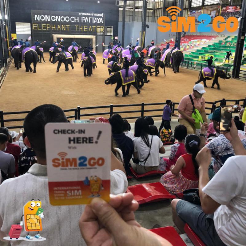 Khách hàng SIM2GO sử dụng SIM Thái Lan khi tham quan khu biểu diễn xiếc thú tại Bangkok