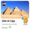 sim ai cập