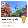 SIM Hàn Quốc