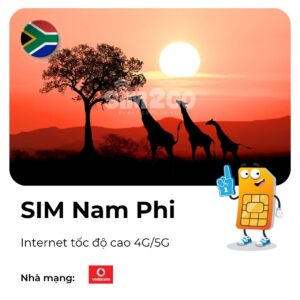 sim nam phi
