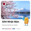 SIM Nhật Bản