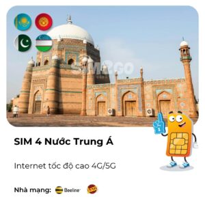 Sim Trung Á