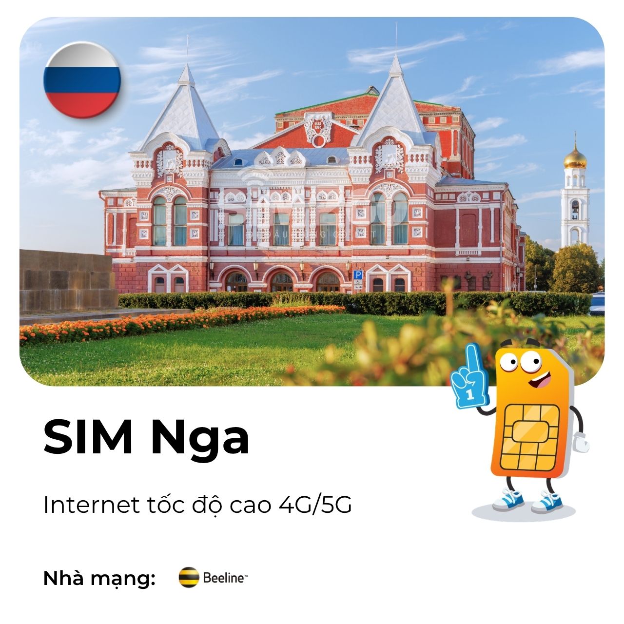 SIM Nga